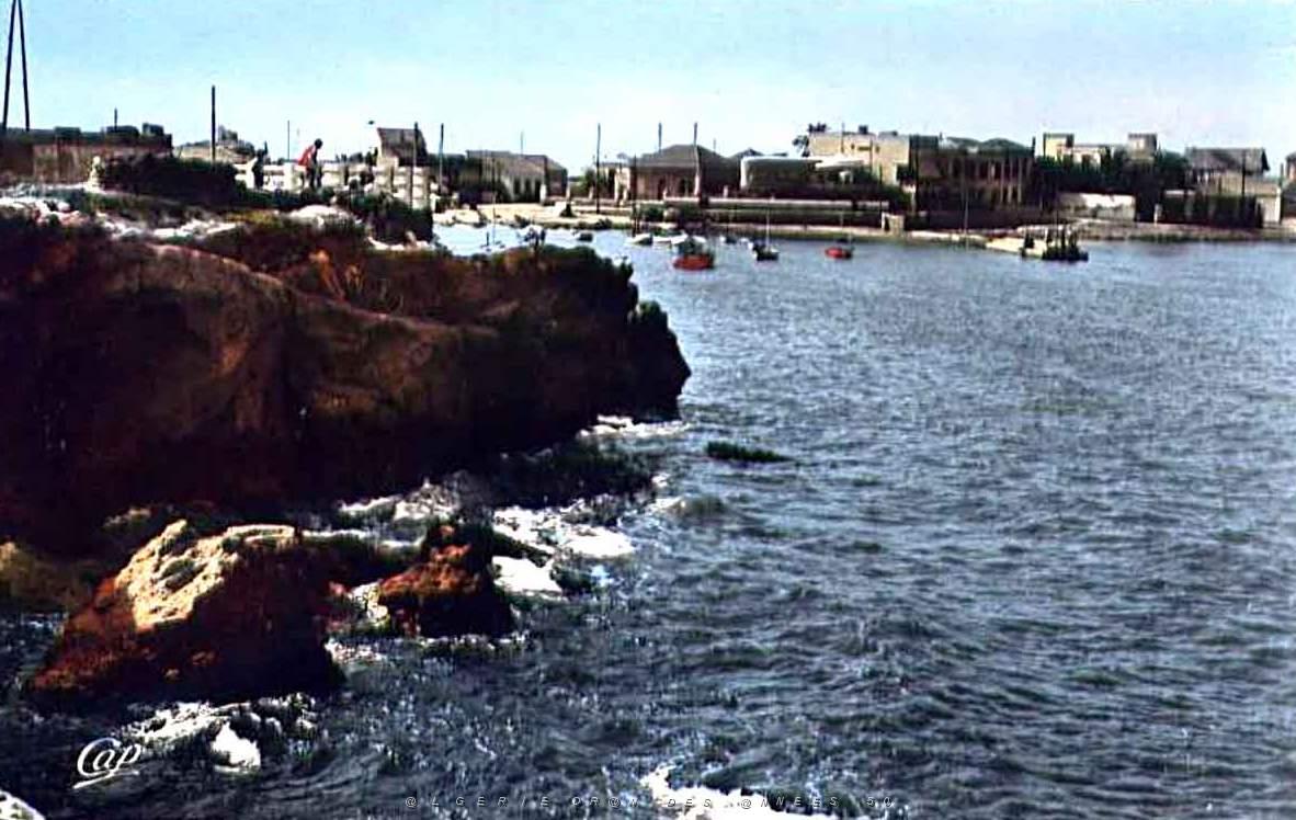 Port aux poules 604.jpg